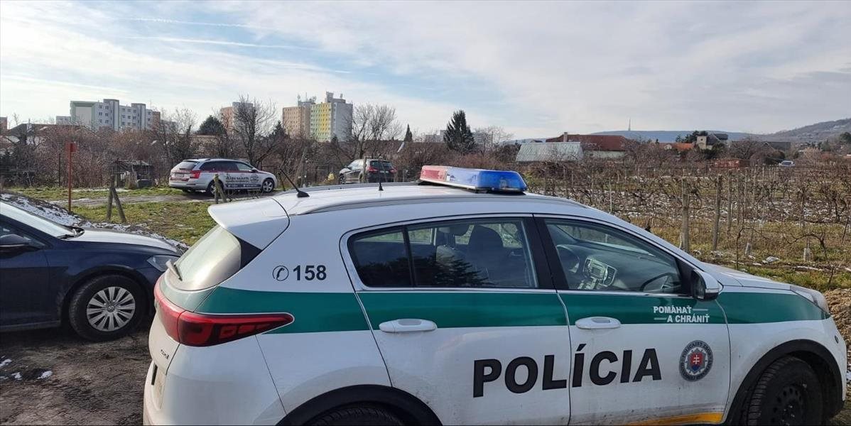 Polícia odhalila v Prešovskom kraji vodičov bez vodičského oprávnenia