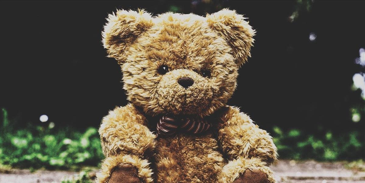 Pred 120 rokmi sa prvýkrát objavil plyšový medvedík, známy ako Teddy Bear