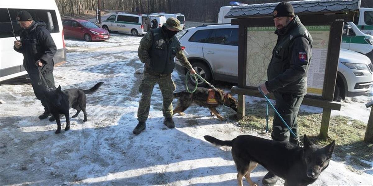 Polícia pátra po nezvestnej 29-ročnej Sandre Káčerovej