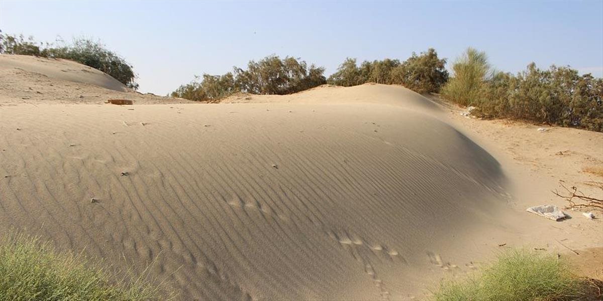 Saudskoarabská púšť zakvitla vďaka výdatným zimným dažďom