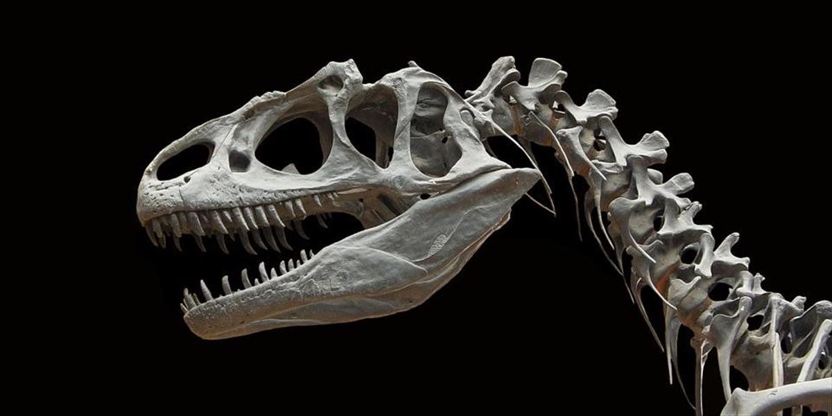 Na pobreží Anglicka objavili rekordne veľkú stopu mäsožravého dinosaura
