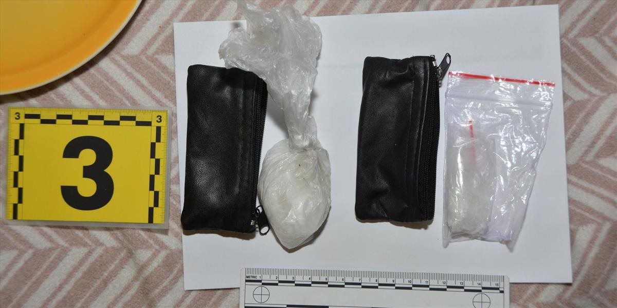 Polícia v Žiline úspešne pokračuje v odhaľovaní drogovej trestnej činnosti