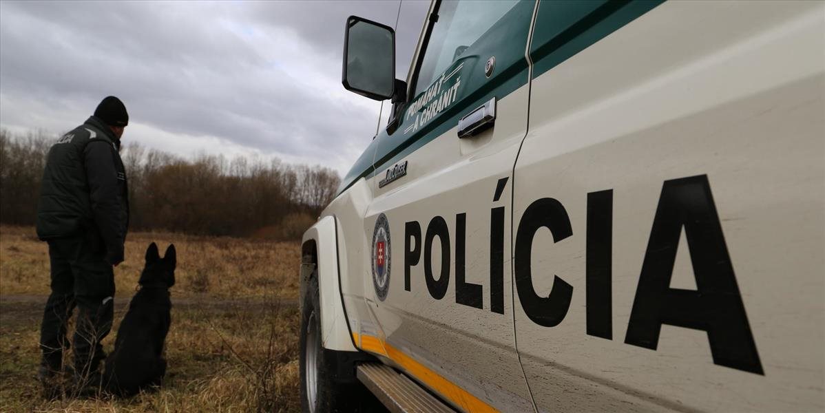 Polícia odhalila v Horných Ozorovciach vodiča pod vplyvom drog