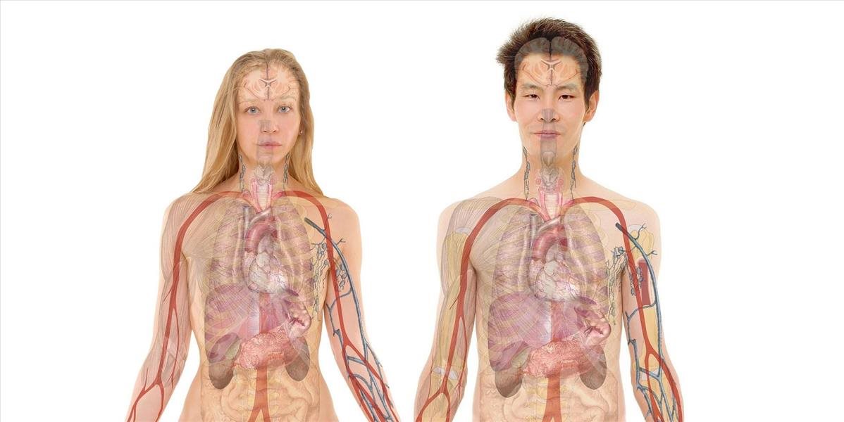 Jeden človek môže darovaním orgánov zachrániť až sedem ľudských životov