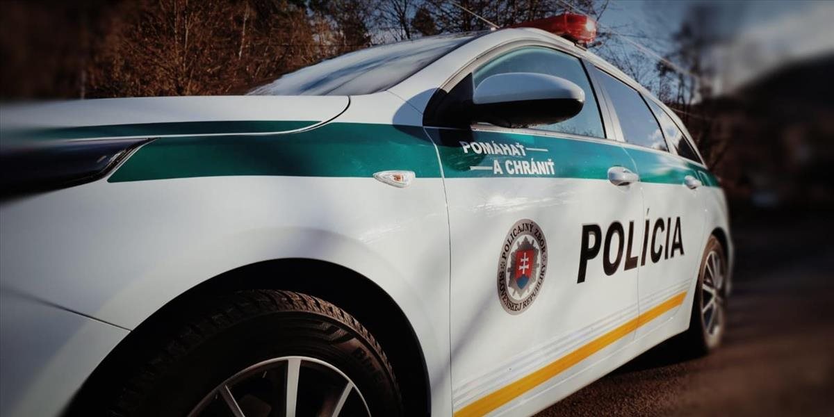 Polícia obvinila opitého vodiča z Topoľovky v okrese Humenné