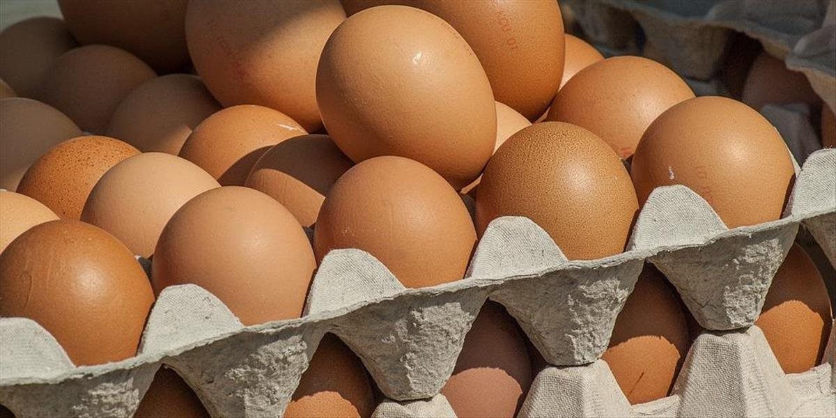 Krajiny, ktoré prešli na podstielkový chov, majú vajcia lacnejšie ako Slovensko