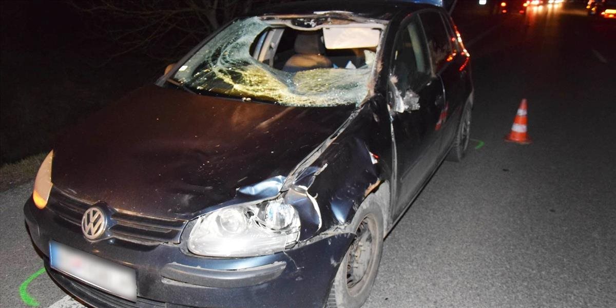 Autu pri Košických Oľšanoch vbehol do cesty jeleň, vodič je zranený
