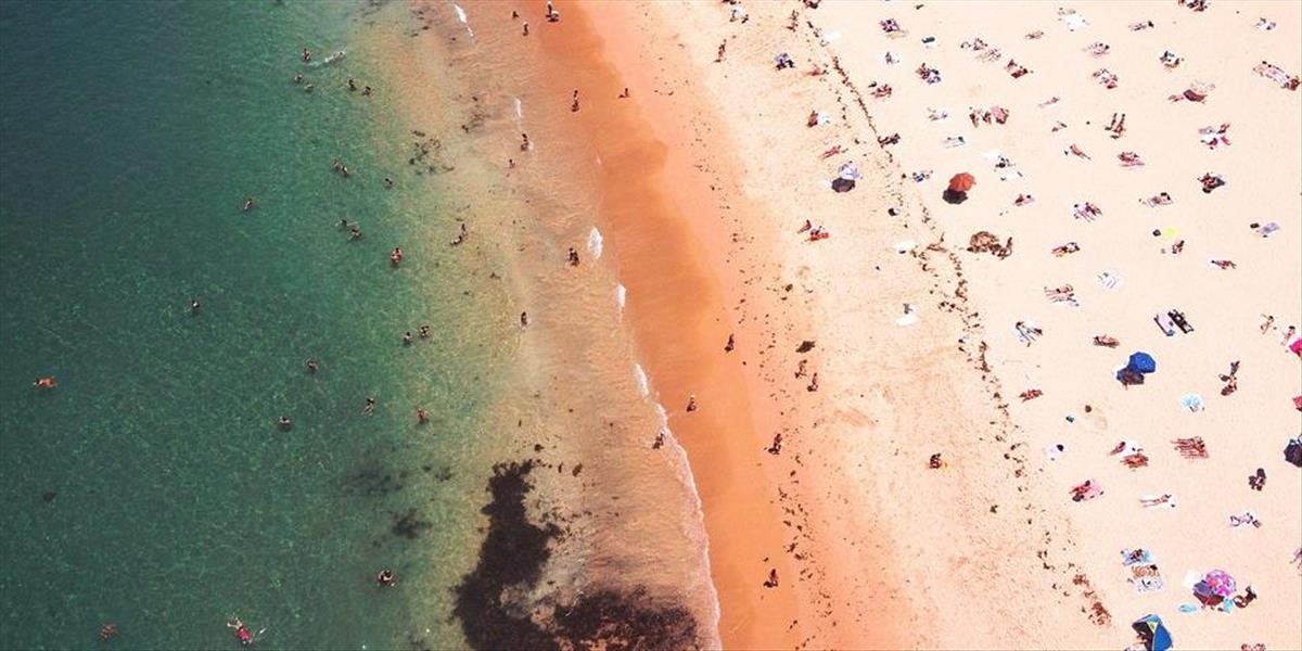 Ženu na pláži v Sydney uhryzla prudko jedovatá chobotnica