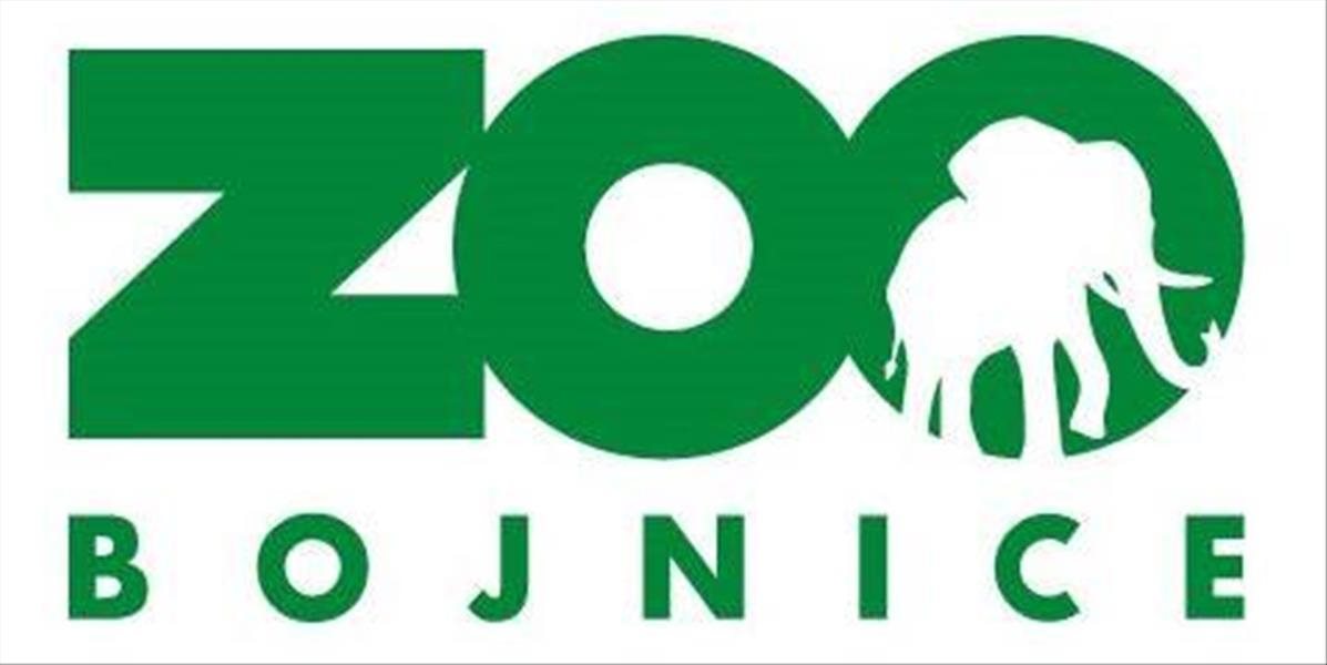 Bojnická zoo získala dvojročnú samicu antilopy