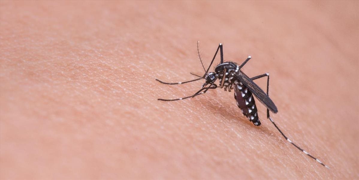 Mesto Bratislava vykonalo prvý preventívny zásah proti liahniskám komárov