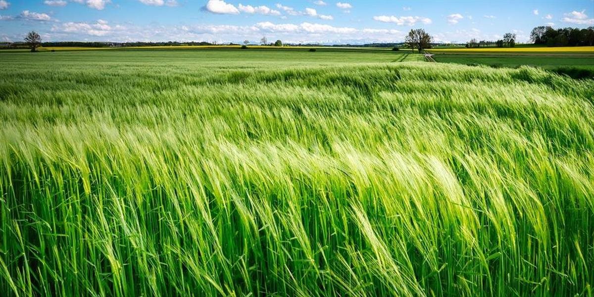 Na celom území Slovenska v pondelok silnejšie zafúka, niekde bude aj orkán