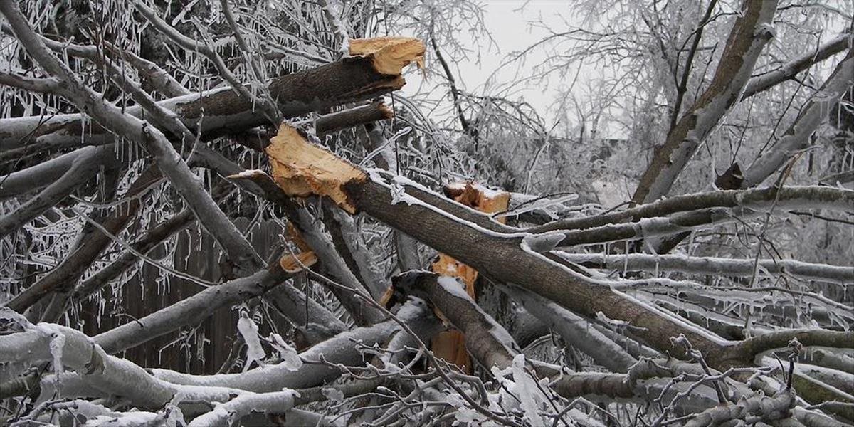Vrstvy ľadu vyvracali stromy, Kanadu zasiahla ľadová búrka