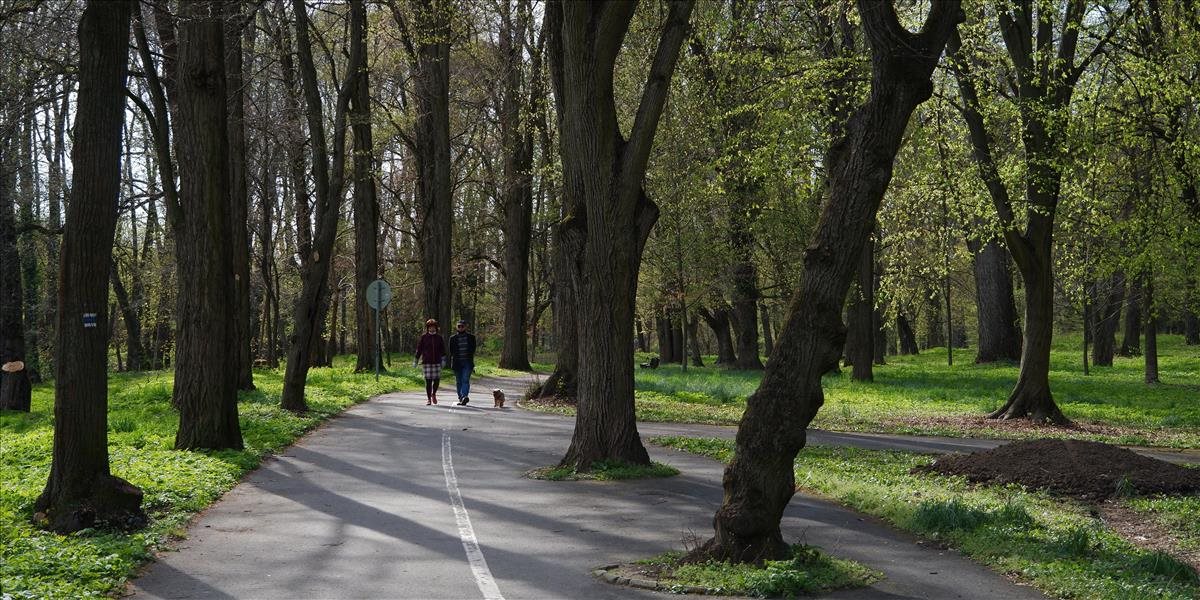 Slovenská sieť značených chodníkov patrí medzi najlepšie na svete