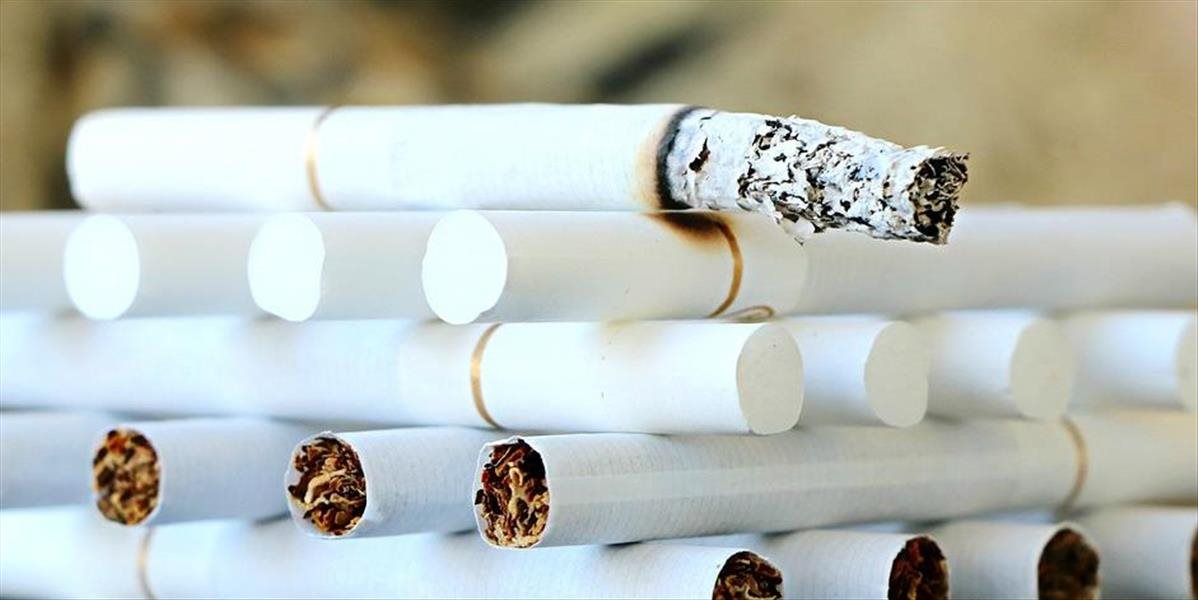 Finančná správa odhalila počas akcie Drotár viac ako 5,4 tony nelegálneho tabaku