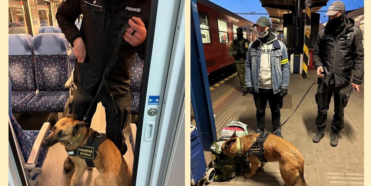 Colníci objavili takmer 1800 balení cigariet bez kontrolnej známky