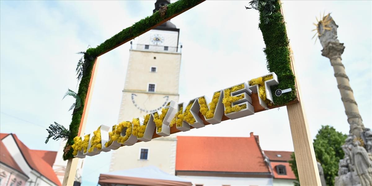 V Trnave sa začalo tradičné podujatie Májový kvet, potrvá štyri dni
