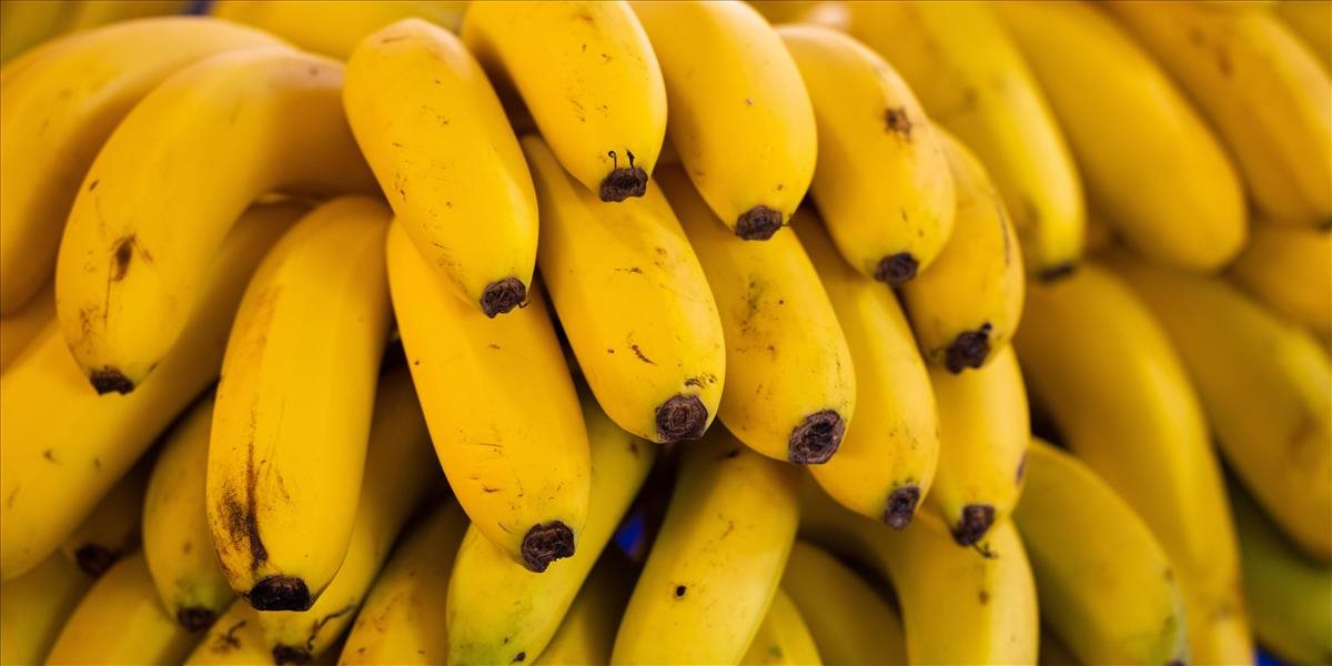 "Banány v kokaíne", talianska polícia zhabala 2,7 tony kokaínu v zásielke banánov z Ekvádoru