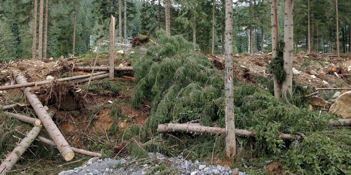 Aktivisti Greenpeace na proteste v Demänovskej doline žiadali vyššiu ochranu lesov