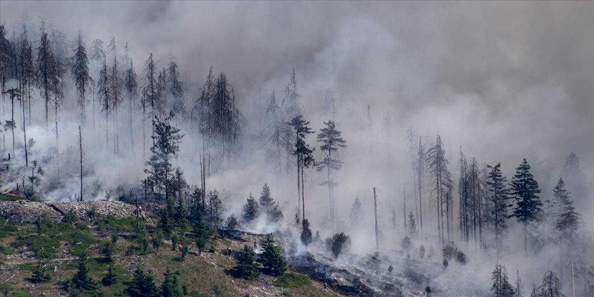 Nemecko sužujú lesné požiare, hrozí evakuácia už druhej dediny