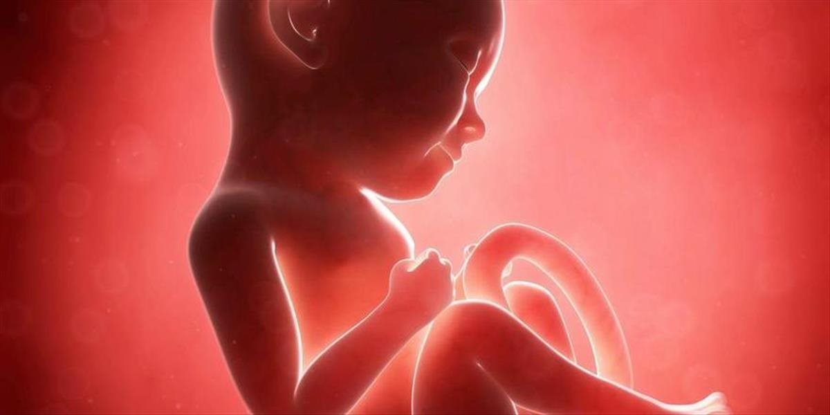 Vedci vytvorili z kmeňových buniek umelé ľudské embryá