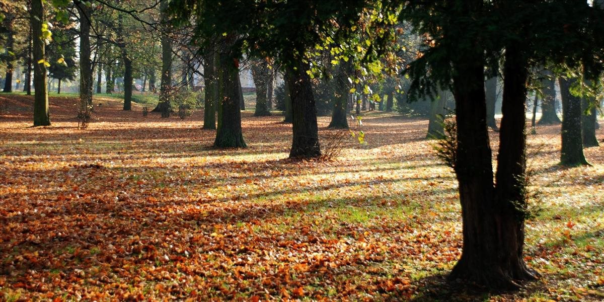 Park M. R. Štefánika v Trenčíne má ponúknuť atraktívne prostredie pre návštevníkov