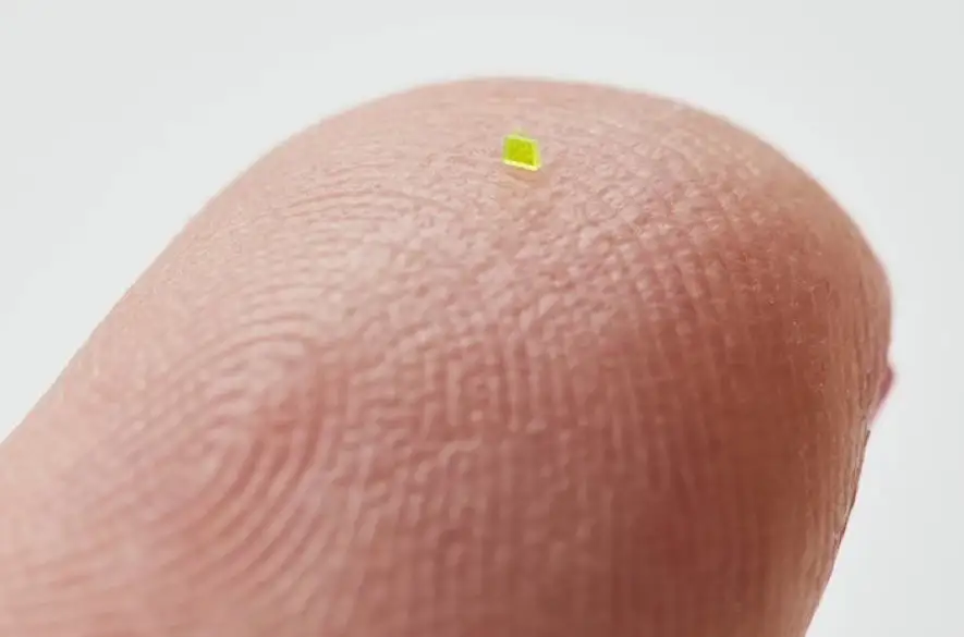 Kabelka od kolektívu MSCHF, ktorá je menšia ako zrnko soli, sa predáva za viac ako 63 000 dolárov