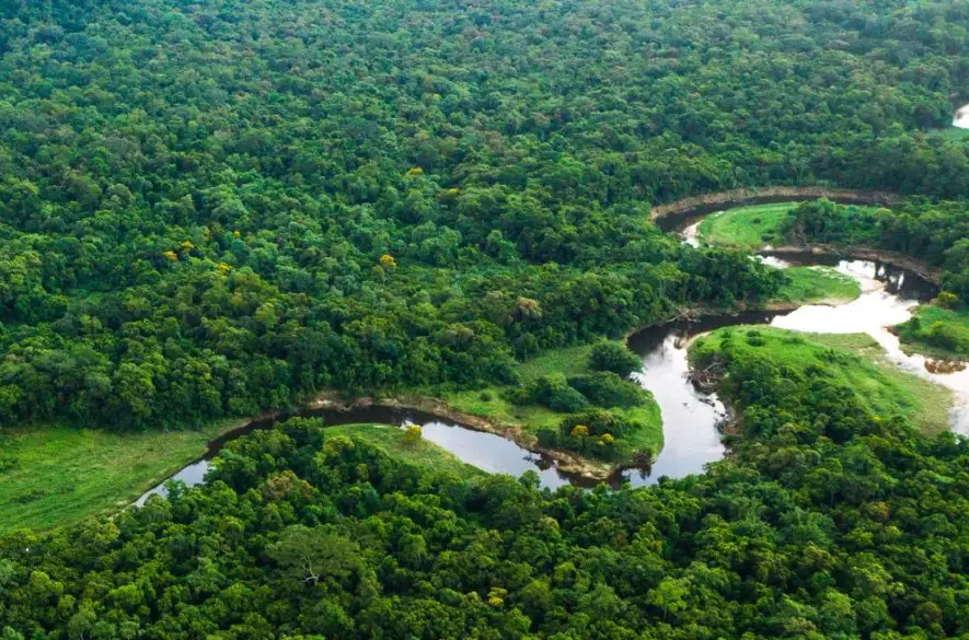 Odlesňovanie Amazónie v Brazílii podľa vlády výrazne kleslo