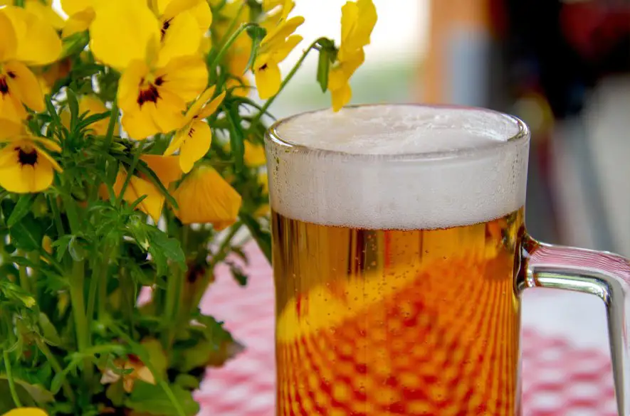 Letné festivaly môžu viesť k podceneniu zostatkového alkoholu
