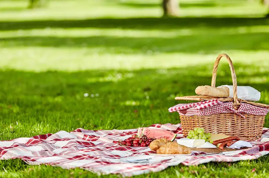 Vyberte sa cez víkend na piknik na Devín!