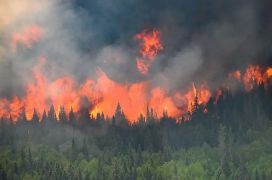 Lesné požiare v Kanade tento rok spálili 100.000 štvorcových kilometrov