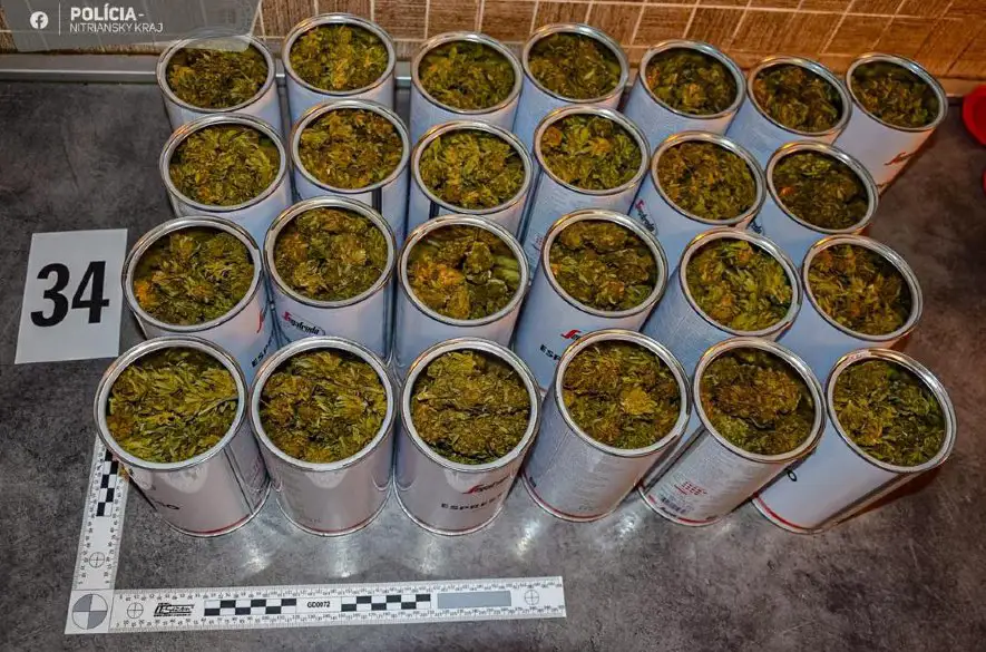 Šalianski policajti zadržali rekordné množstvo drogy