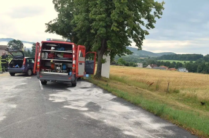 Náraz do stromu pri Kokošovciach neprežil 67-ročný Prešovčan