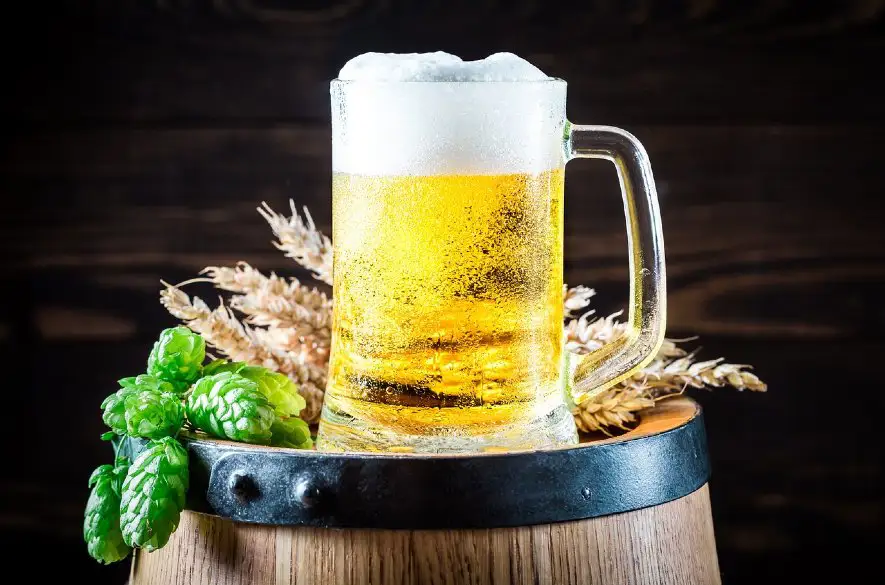 Slováci vypili vlani najmenej piva za posledných 30 rokov
