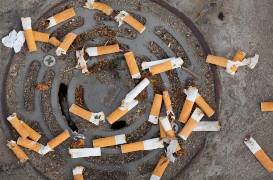 Enviro: Vo voľne pohodenom odpade dominovali cigaretové ohorky a rôzne plasty
