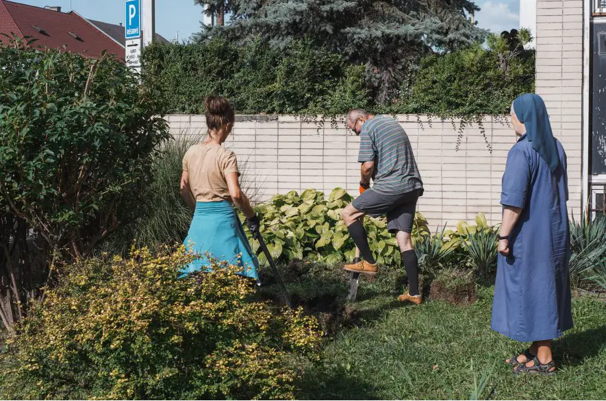 Košickí dobrovoľníci v lete opäť pokračujú na realizácii dažďových záhrad