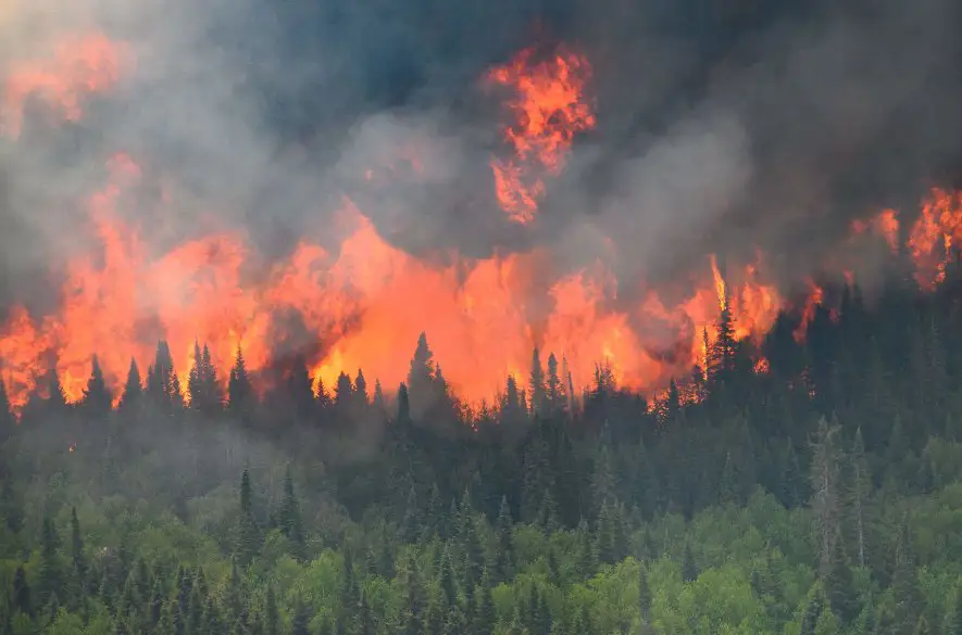 Pre lesné požiare v Kanade evakuujú jedno z najväčších miest na ďalekom severe