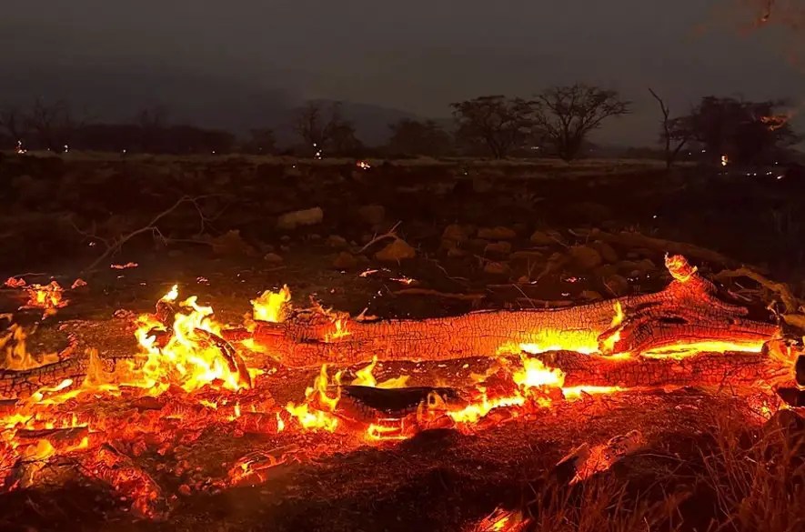Havajský okres Maui zažaloval spoločnosť, ktorej údajná nedbalosť spôsobila požiare