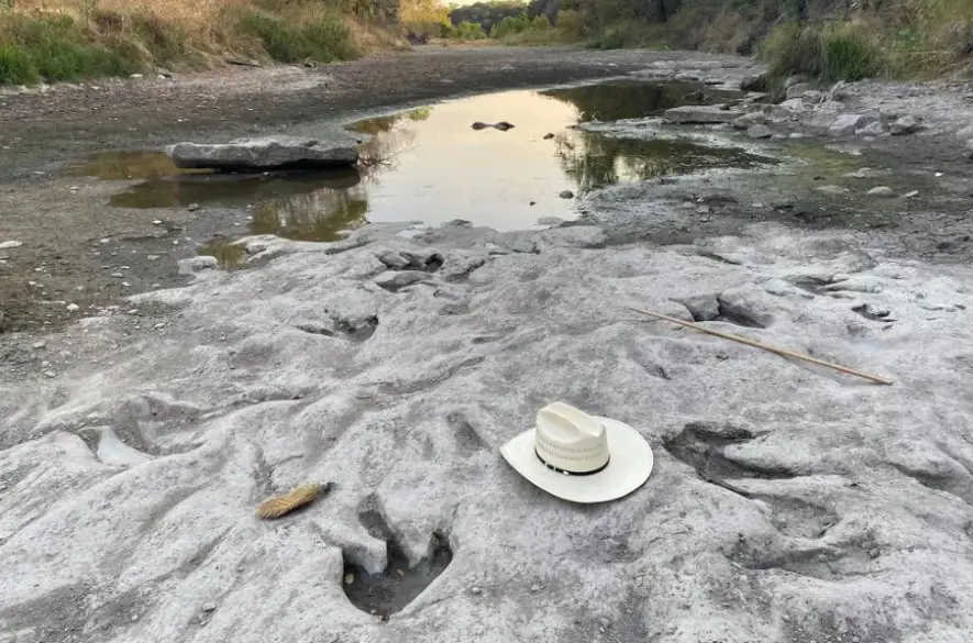 Nadmerné sucho v Texase odhalilo stopy dinosaurov staré 113 miliónov rokov