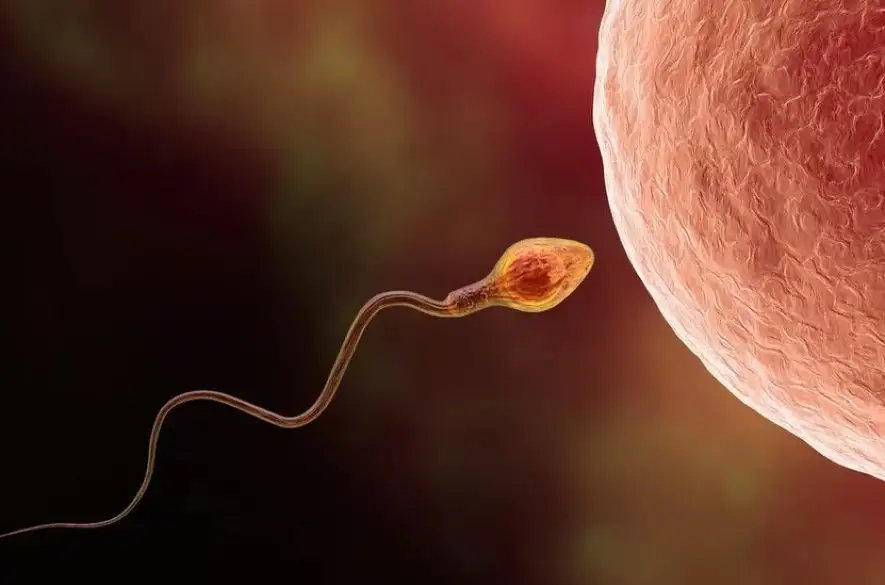 Ako môže byť AI silným nástrojom pri liečbe mužskej neplodnosti