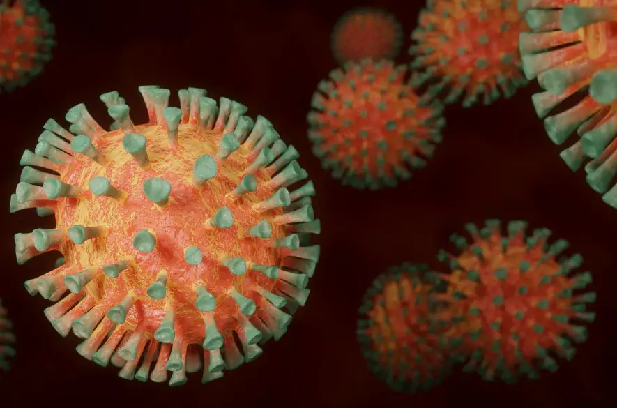 WHO: Počet nakazených novým koronavírusom na severnej pologuli rastie - máme sa báť?