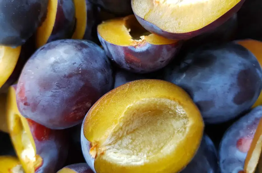 V Španej Doline sa opäť chystá veselá Slivková paráda