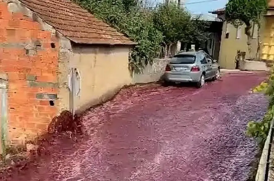 Dva milióny litrov červeného vína zaplavili ulice portugalskej dediny