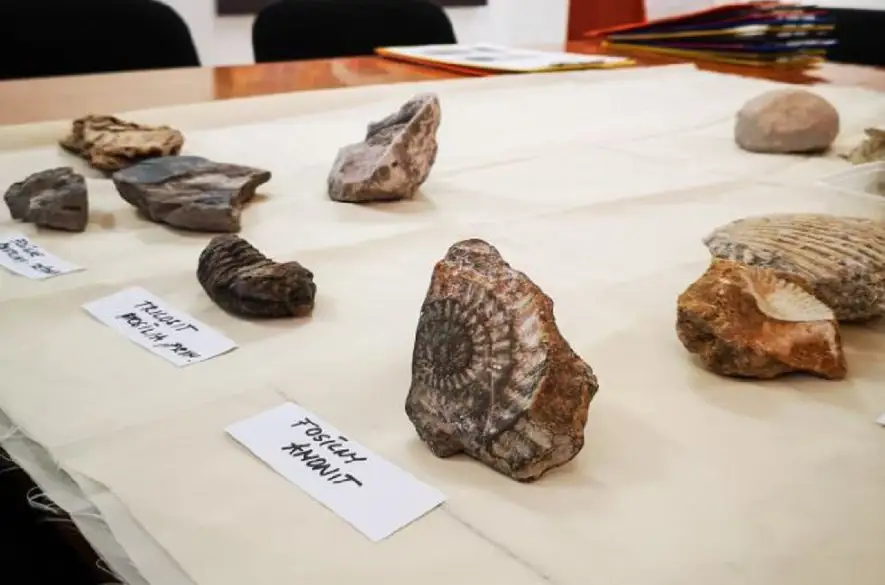 Hornonitrianske múzeum v Prievidzi predstavuje skameneliny z regiónu