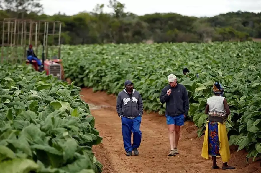 „Biela genocída“ alias vyvražďovanie bielych farmárov v Afrike? Elon Musk v spore s lídrom juhoafrickej politickej strany Juliusom Malemom
