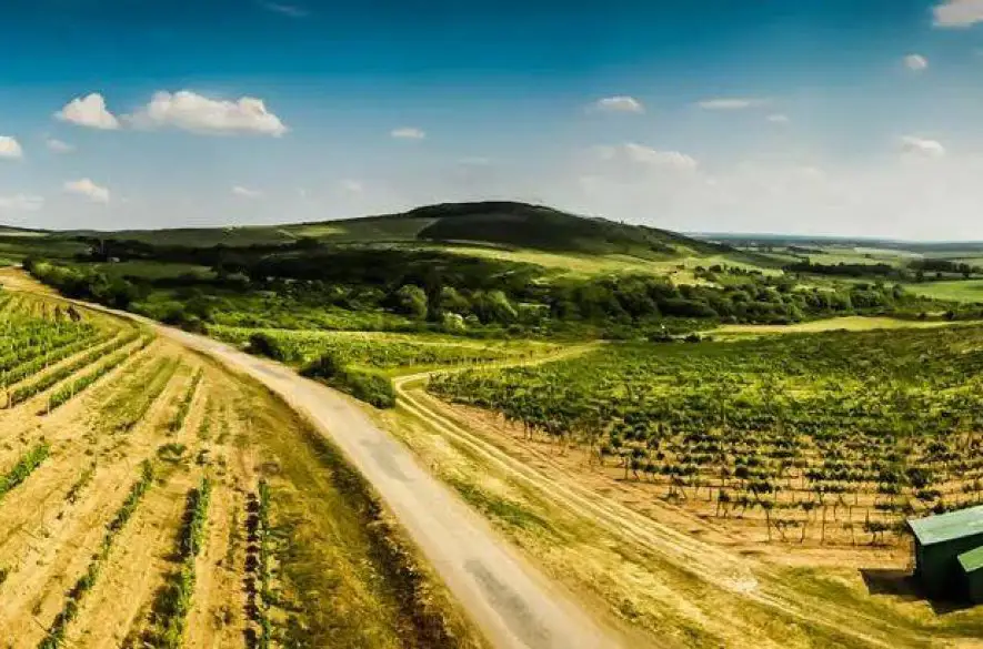 Tokajské vinobranie ponúkne unikátne vína, let balónom aj beh cez vinice