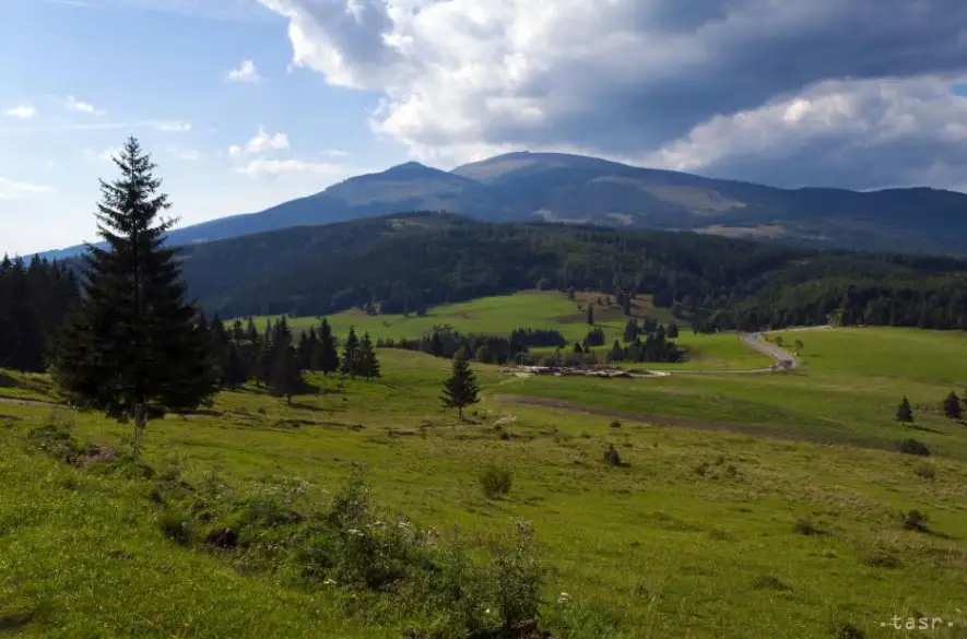 V Slovenskom raji bojujú ochranári s inváznymi druhmi rastlín