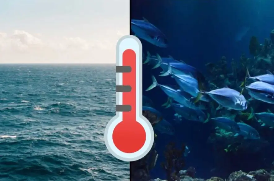 Vedci upozorňujú, že tzv. morské horúčavy môžu v hlbokej vode trvať dlhšie