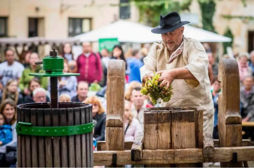 Dudinské vinobranie láka aj domácimi odrodami