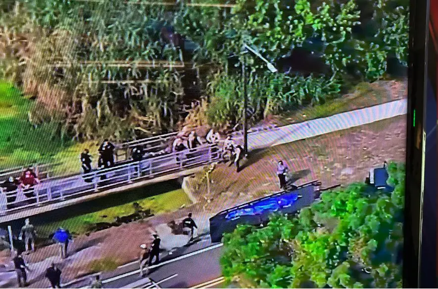 Žena na Floride bola živá roztrhaná aligátorom