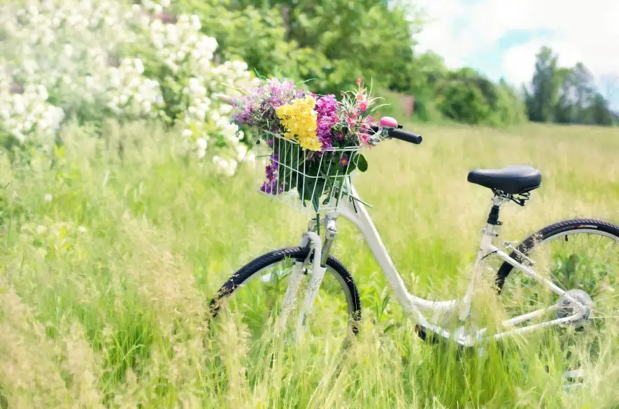 Bratislavská polícia upozorňuje na zvýšené množstvo krádeží bicyklov